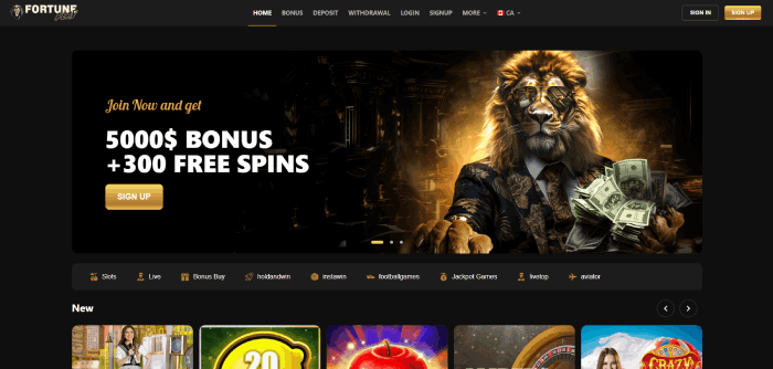Fortune Play best casino with InstaDebit
