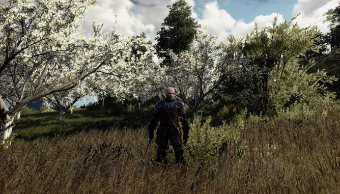 Zo belachelijk mooi ziet The Witcher III eruit in 8K