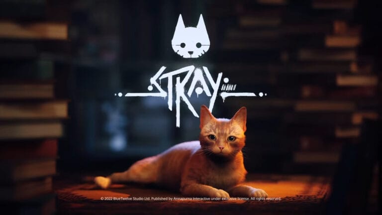 STRAY-Date-Inits_06-02-22-768x432