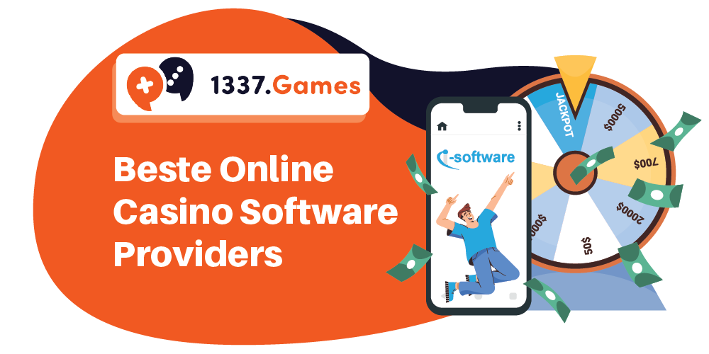 software providers nederland