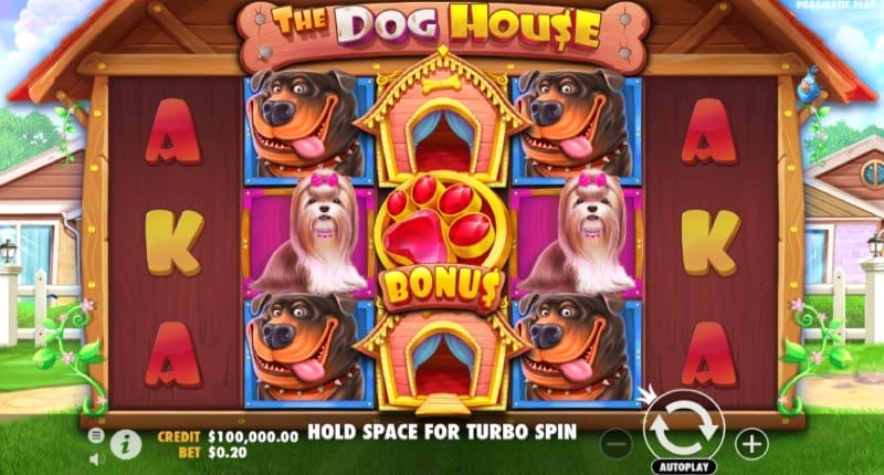 Dog House Pragmatic Play