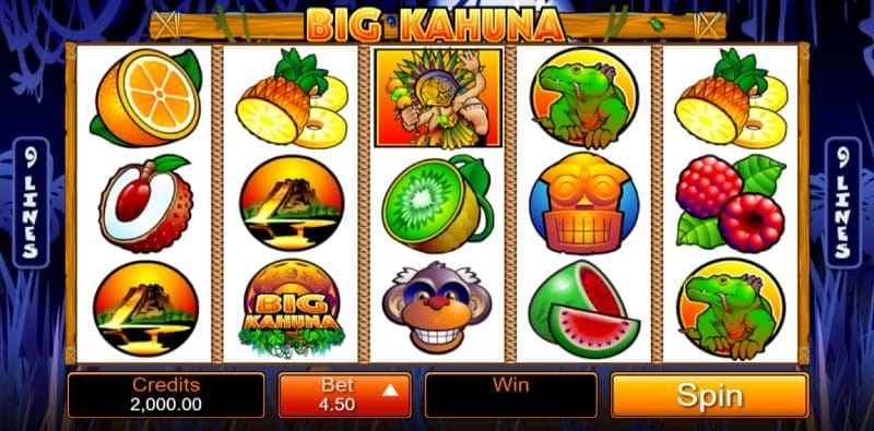 Microgaming Big Kahuna