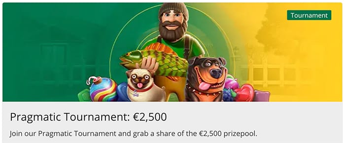 Qbet Casino: Live Casino Toernooi