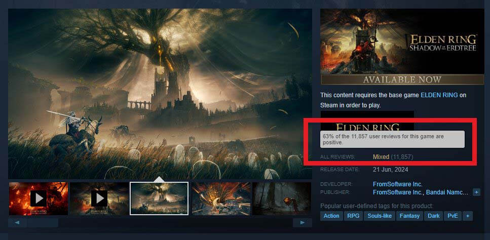 Elden Ring Steam Reviews