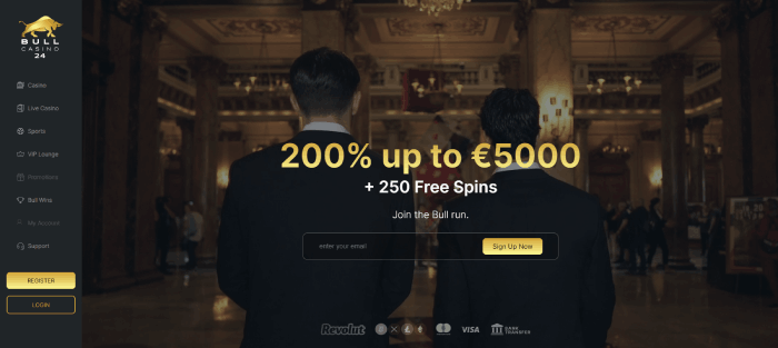 Bull Casino website