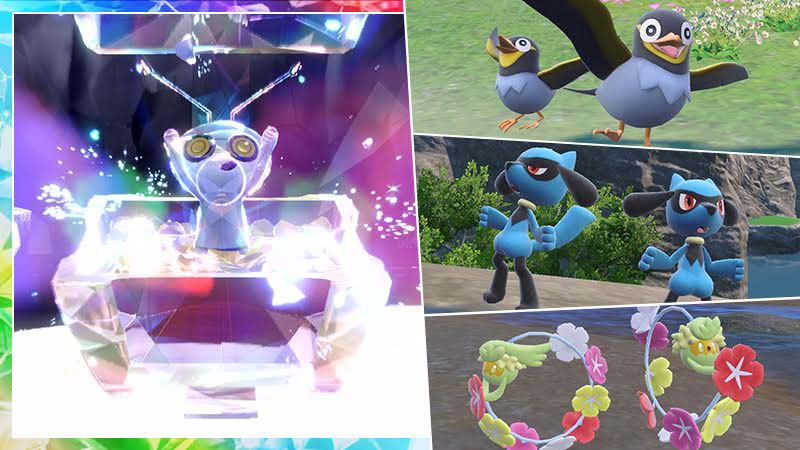 Pokémon event augustus 2024