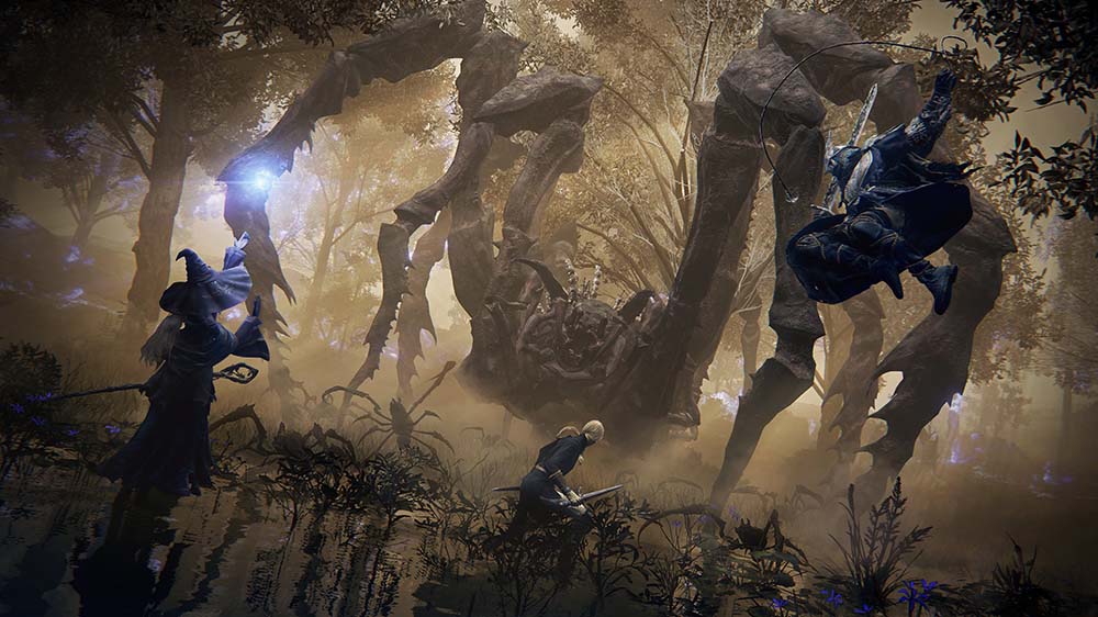 Elden Rign Nightreign Screenshot