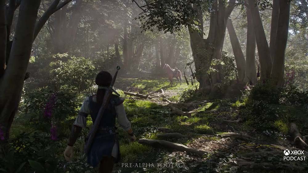 Fable Gameplay