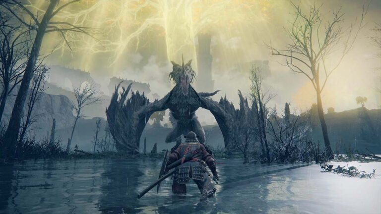 Elden Ring voor de Nintendo Switch 2 komt niet meer dit jaar uit