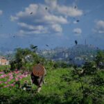 Crimson Desert verkoopt 2 miljoen en belooft verbeteringen voor technische problemen en controls